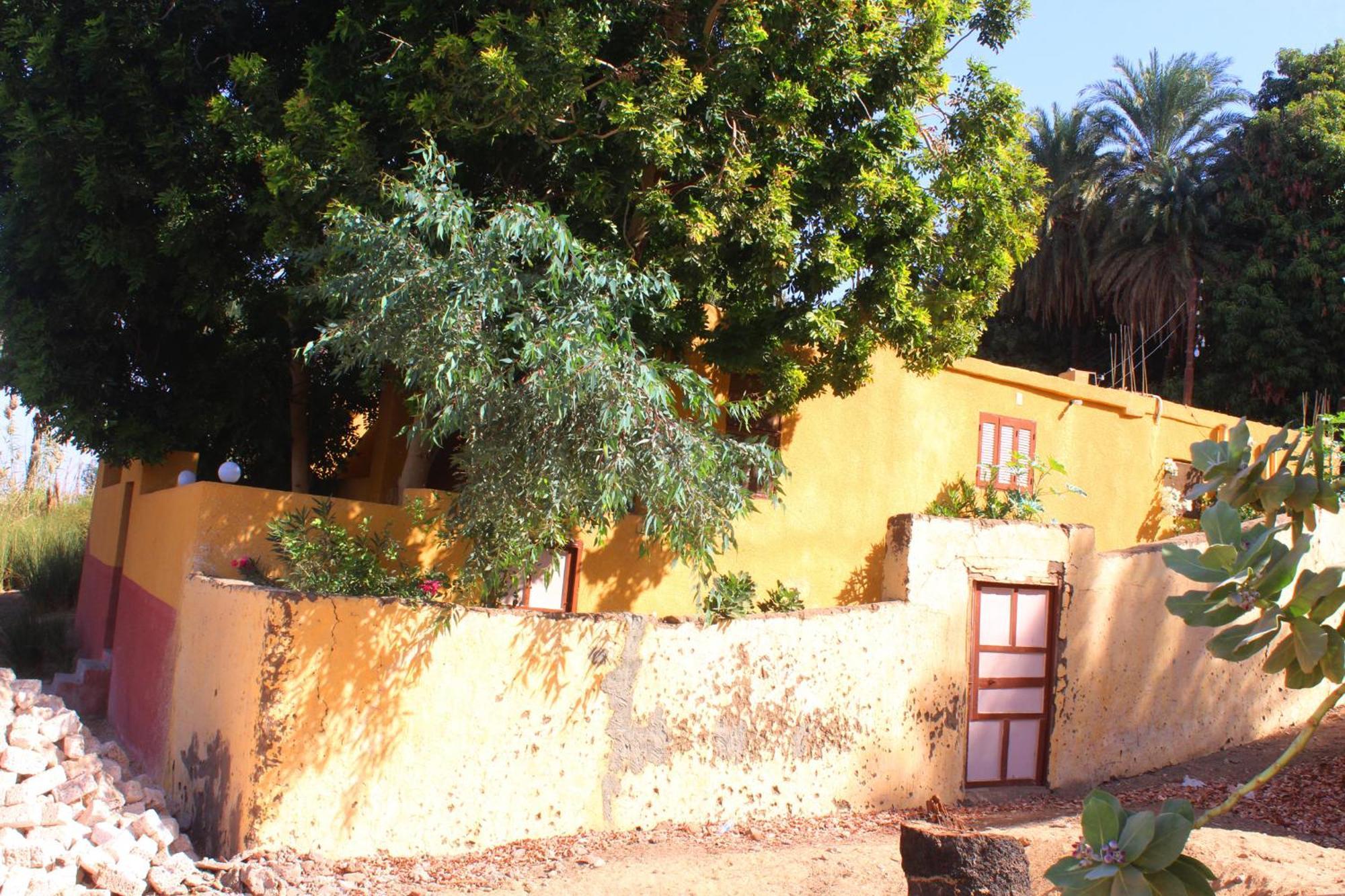Villa Hamo House Asuán Exterior foto